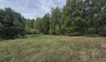 Działka rolna Linówek