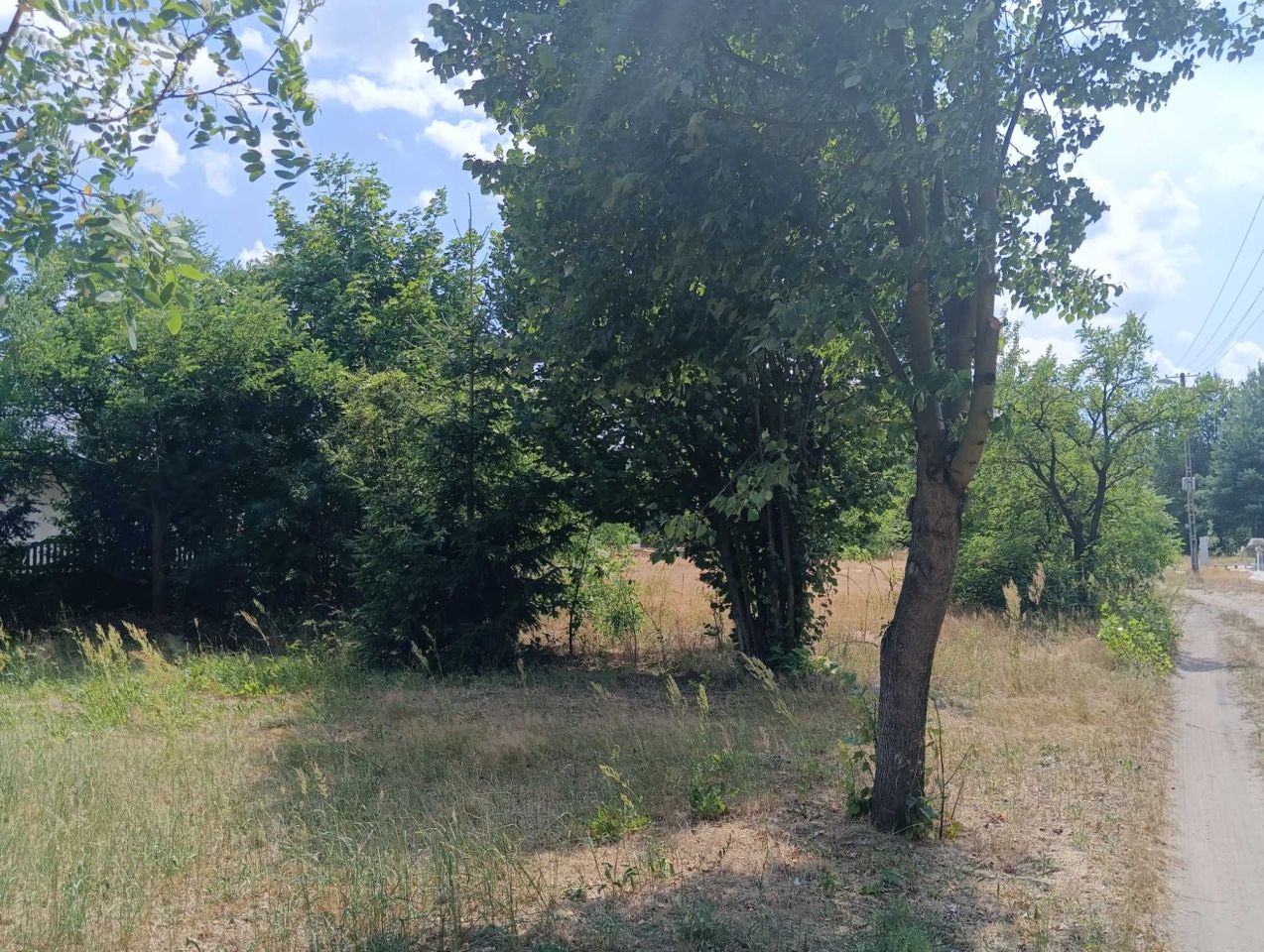 Działka rolna Rudnik nad Sanem. Zdjęcie 3