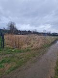 Działka rod Gdańsk Krakowiec, ul. Steczka. Zdjęcie 1