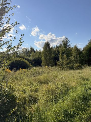Działka budowlana Pierszczewko. Zdjęcie 1