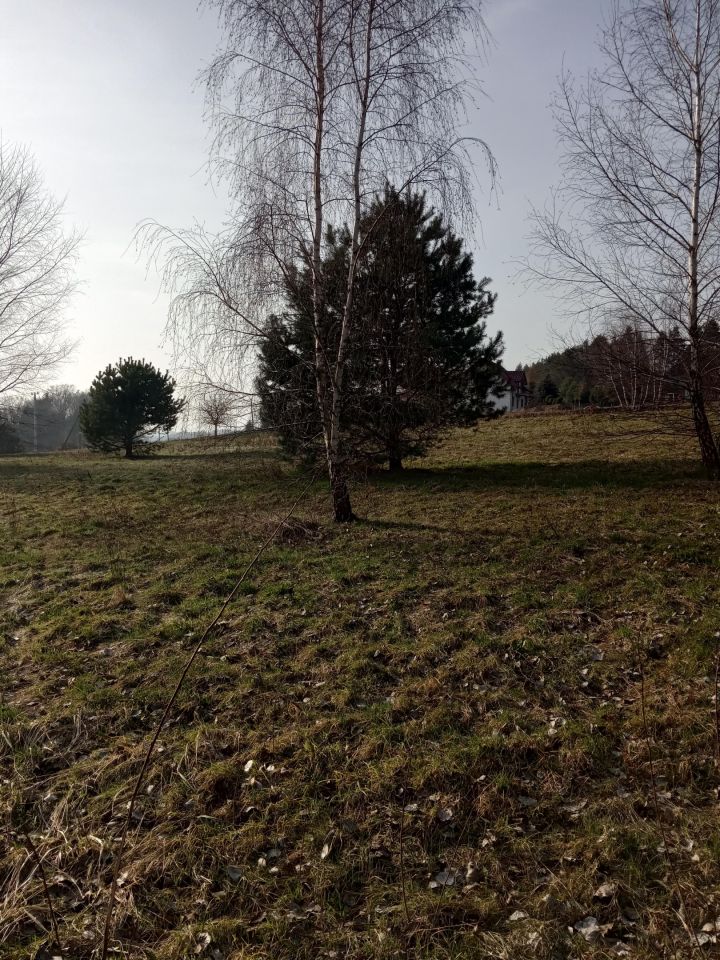 Działka budowlana Żurowa Nowy Świat. Zdjęcie 2