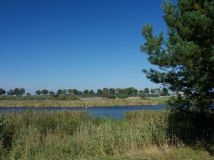 Działka rolno-budowlana Śmiardowo Złotowskie. Zdjęcie 3