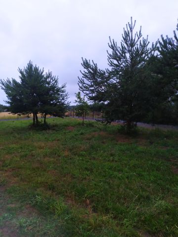 Działka rekreacyjna Sasino, ul. Zacisze. Zdjęcie 1