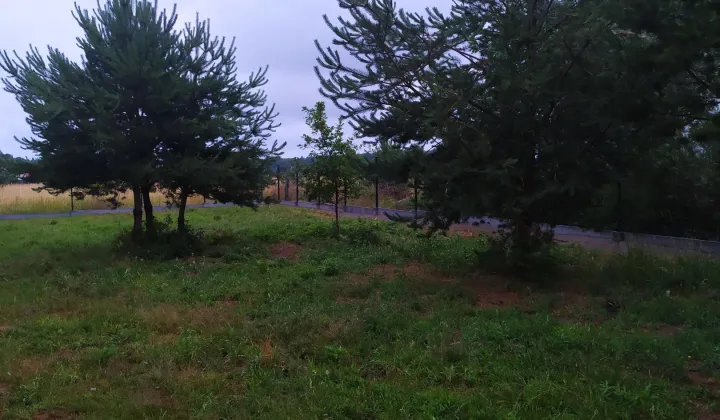 Działka rekreacyjna Sasino, ul. Zacisze