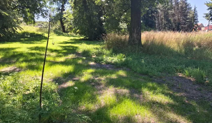 Działka Kalinowice, ul. Wiejska