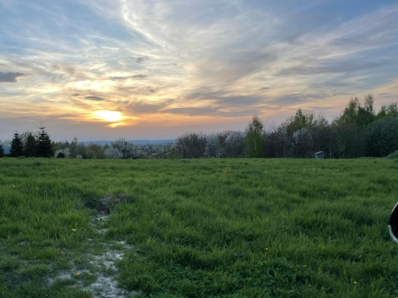 Działka budowlana Tyczyn, ul. Mickiewicza. Zdjęcie 3