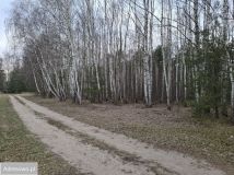 Działka leśna Zborów