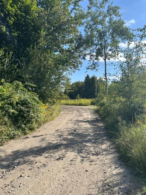 Działka siedliskowa Łomnica, ul. Karpnicka. Zdjęcie 4