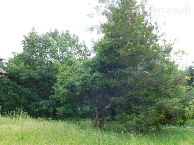 Działka budowlana Jachranka. Zdjęcie 6