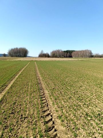 Działka budowlana Świerzowa Polska. Zdjęcie 2