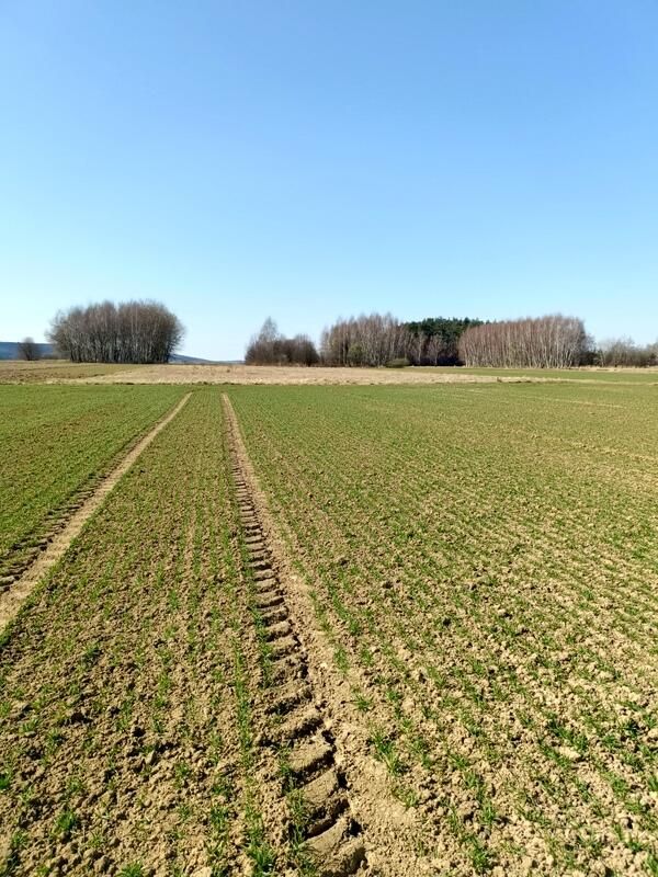 Działka budowlana Świerzowa Polska. Zdjęcie 2