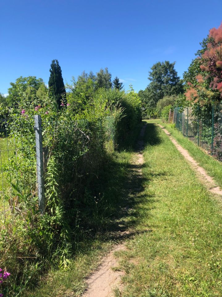 Działka rod Gorzów Wielkopolski, ul. Żwirowa. Zdjęcie 6