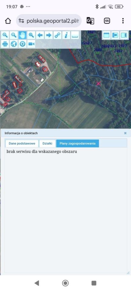 Działka leśna Jodłowa. Zdjęcie 5