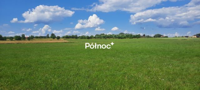 Działka rolna Dobrzyniewo Kościelne. Zdjęcie 6