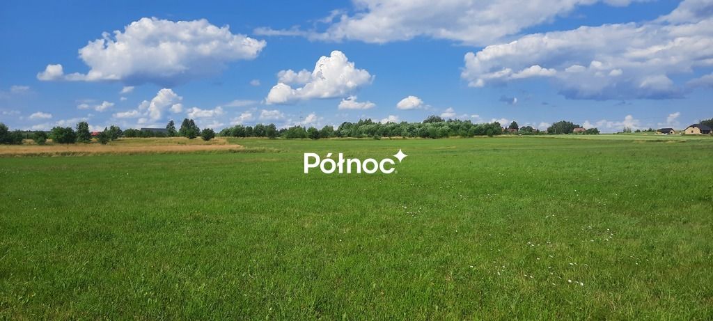 Działka rolna Dobrzyniewo Kościelne. Zdjęcie 6