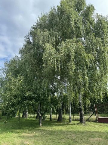 Działka Kęty. Zdjęcie 12