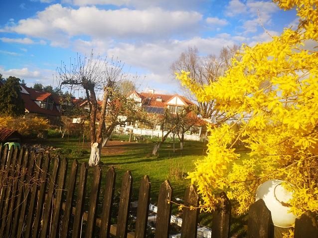 Hotel/pensjonat Jakubowo. Zdjęcie 7