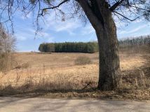 Działka rolna Pietrasze. Zdjęcie 3