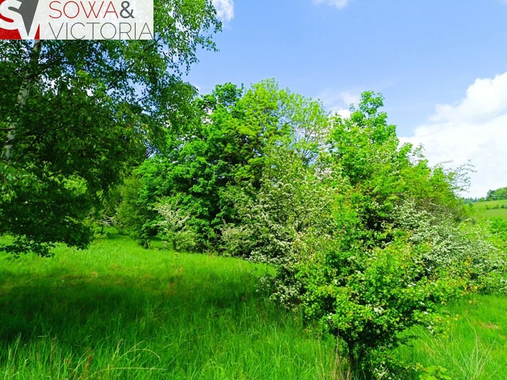 Działka budowlana Jedlina-Zdrój Kamieńsk. Zdjęcie 8