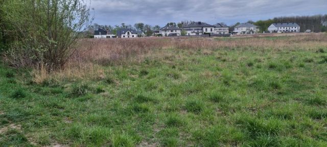 Działka budowlana Kręczki. Zdjęcie 2