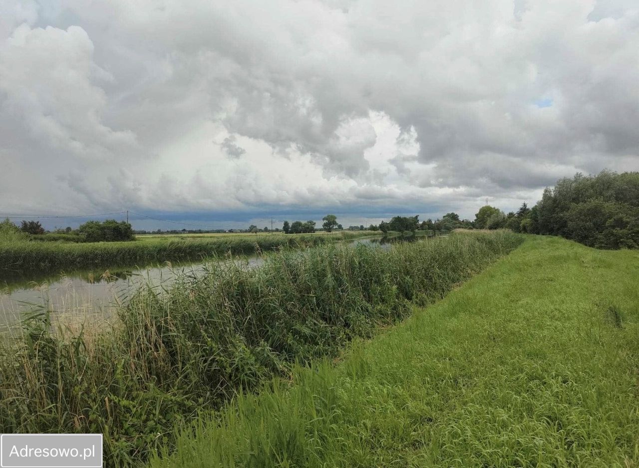 Działka budowlana Kobyla Kępa. Zdjęcie 2