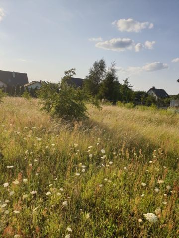 Działka budowlana Pawłówko, ul. Torowa. Zdjęcie 1