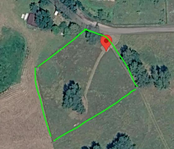 Działka rolno-budowlana Dziuchy. Zdjęcie 1