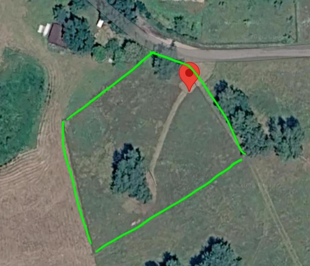 Działka rolno-budowlana Dziuchy. Zdjęcie 1