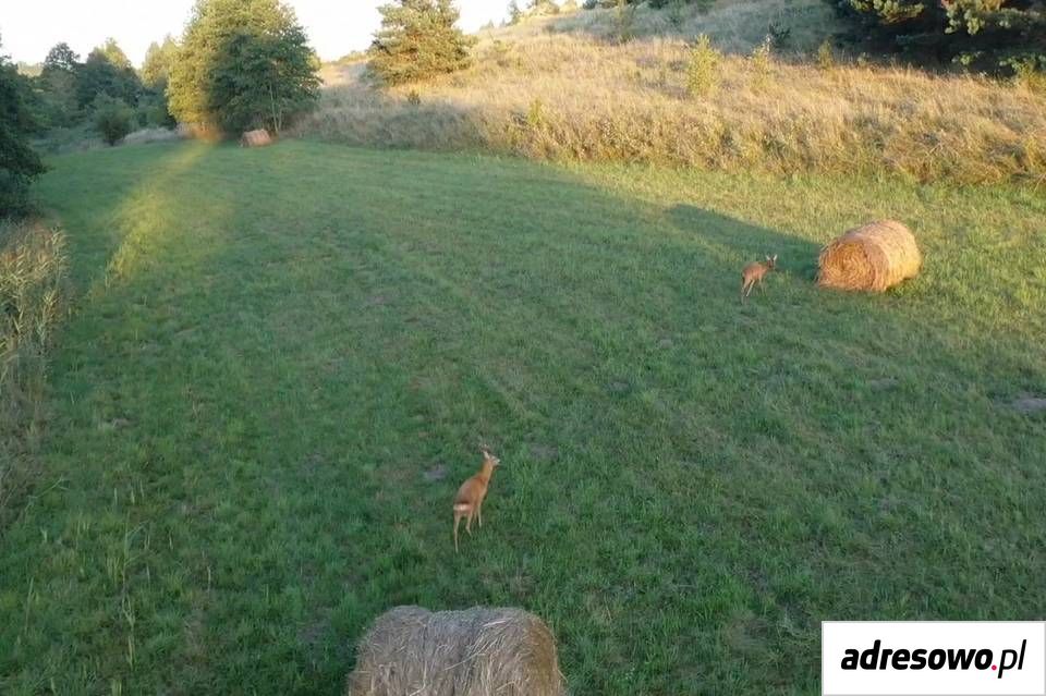 Działka budowlana Kiersztanowo. Zdjęcie 6