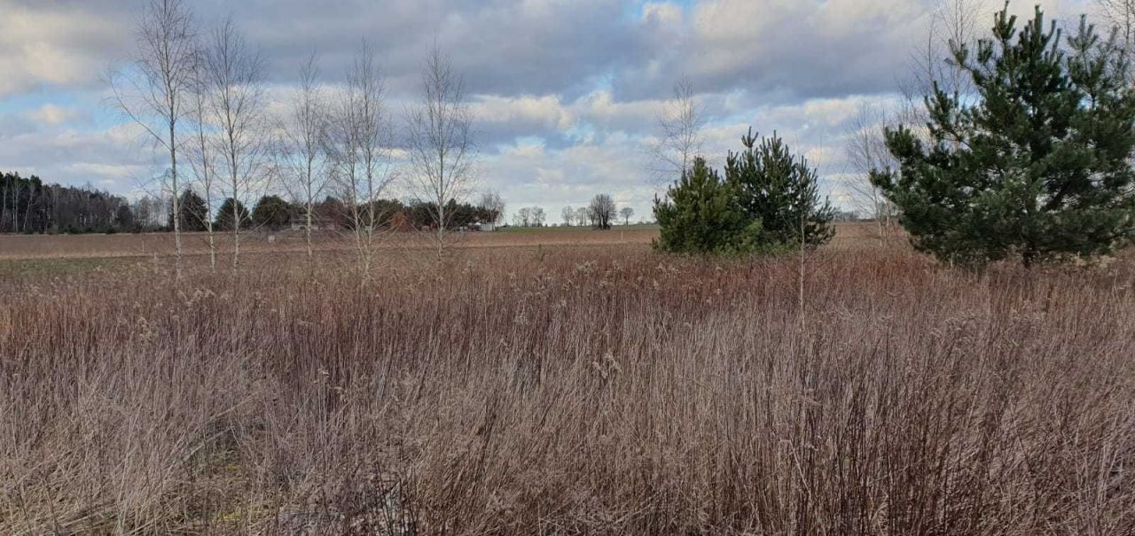 Działka budowlana Popowo-Parcele, ul. Widokowa. Zdjęcie 8