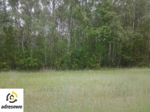 Działka budowlana Góry Prusinowskie. Zdjęcie 1