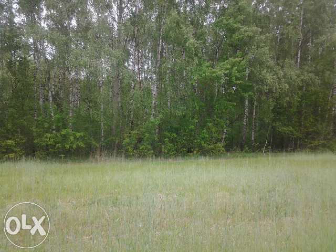 Działka budowlana Góry Prusinowskie. Zdjęcie 2