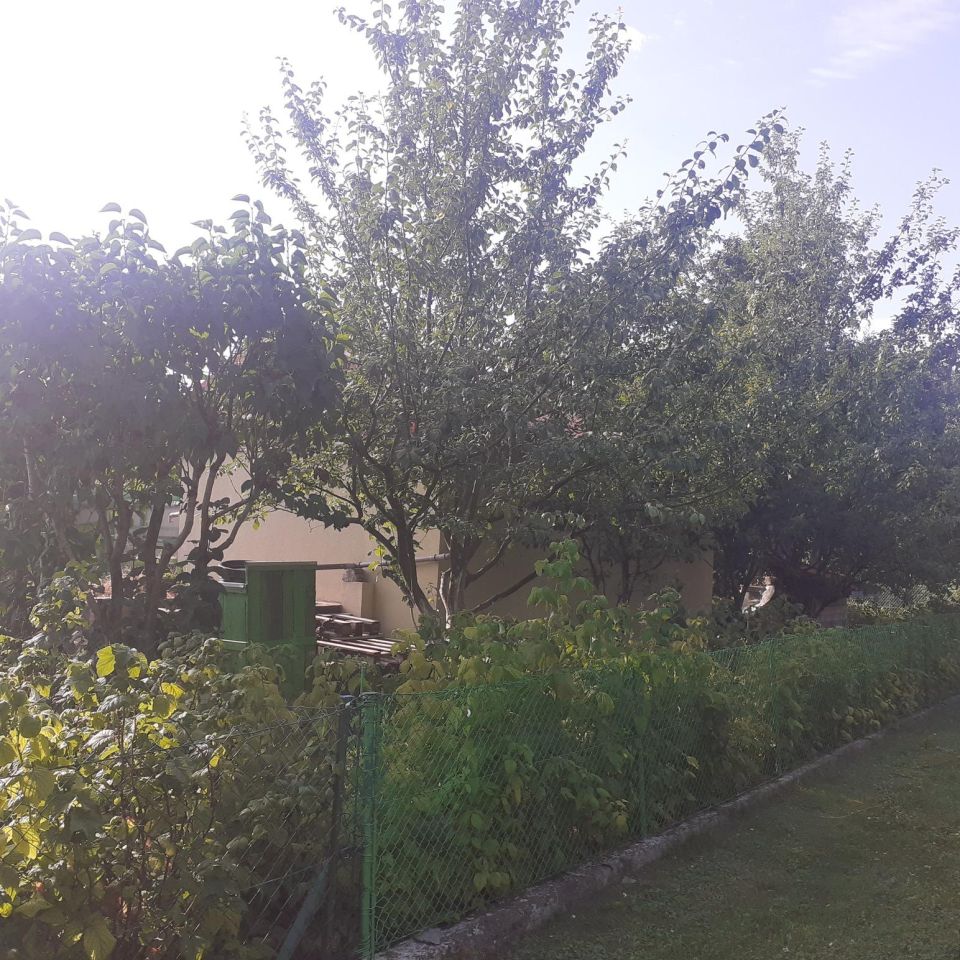 Działka rod Grzybiany, ul. Legnicka. Zdjęcie 3