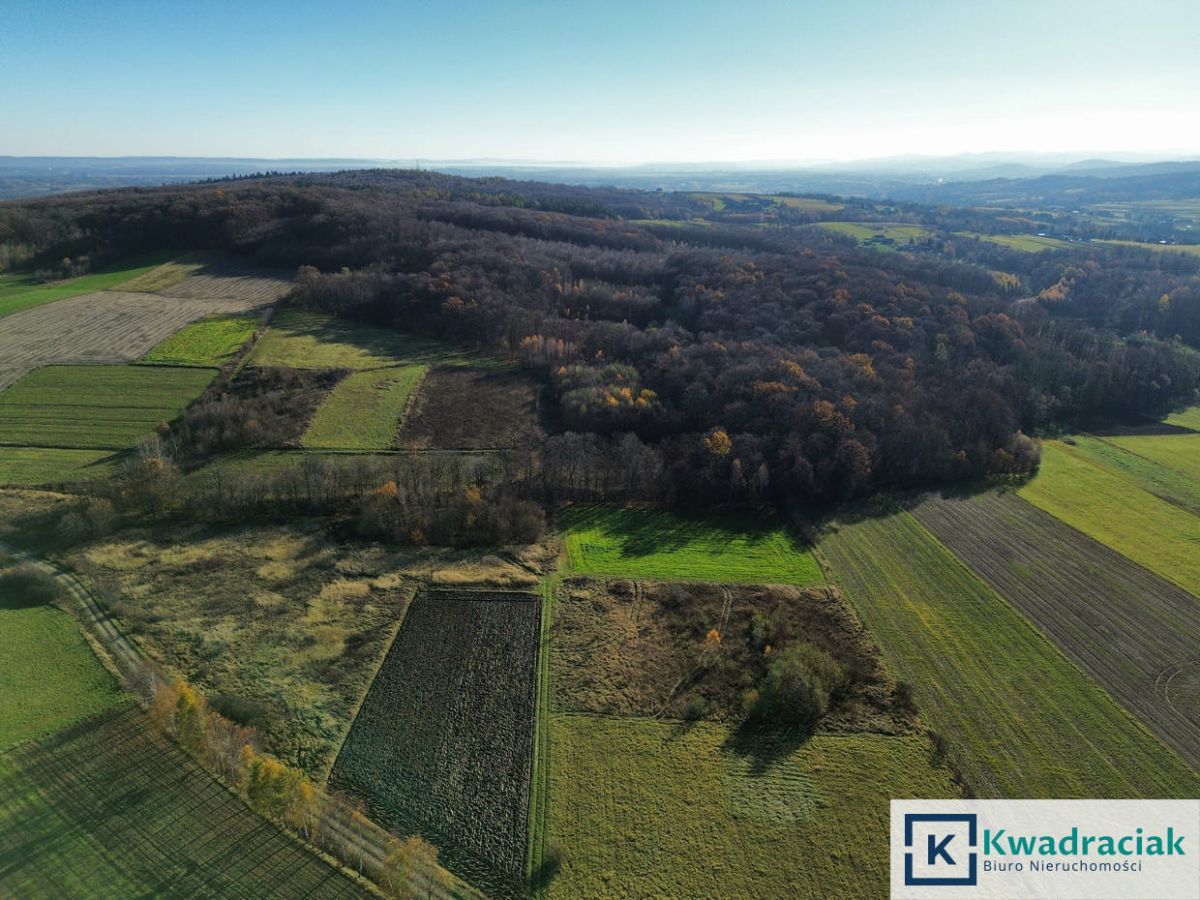 Działka rolna Podniebyle. Zdjęcie 6