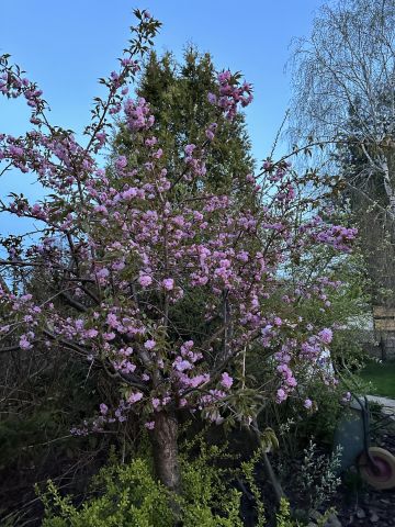 dom wolnostojący, 4 pokoje Huta Żabiowolska, Główna. Zdjęcie 21