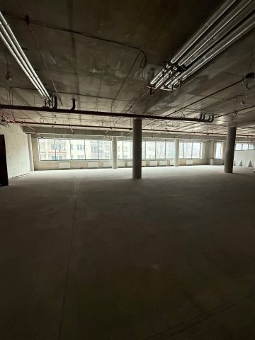 Lokal Szczecin Centrum. Zdjęcie 6