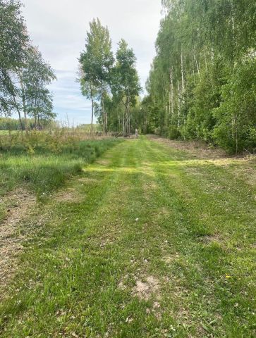 Działka rekreacyjna Stary Orzechów. Zdjęcie 1