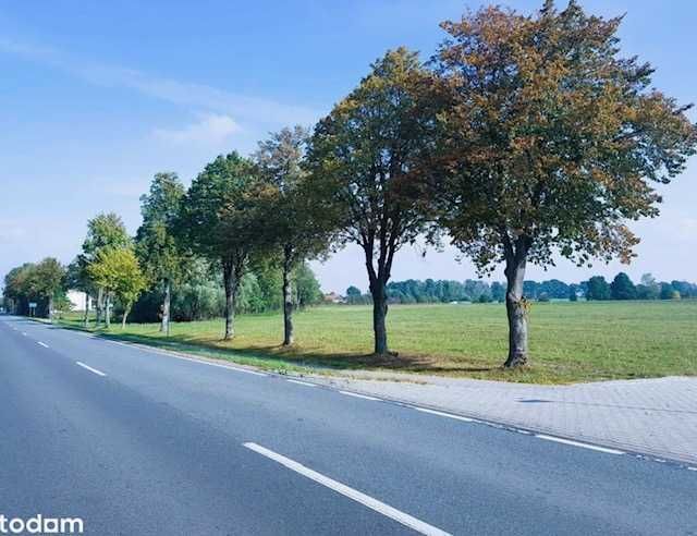 Działka budowlana Glinka. Zdjęcie 5