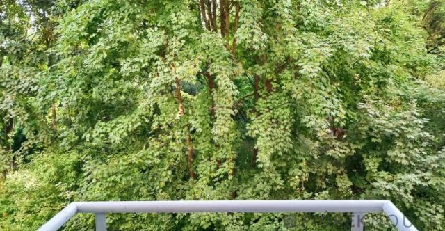 Mieszkanie 2-pokojowe Warszawa Praga-Południe, ul. Międzynarodowa. Zdjęcie 6