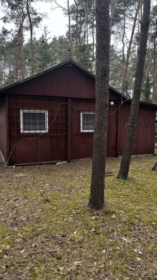 Działka leśna Łyszkowice. Zdjęcie 3