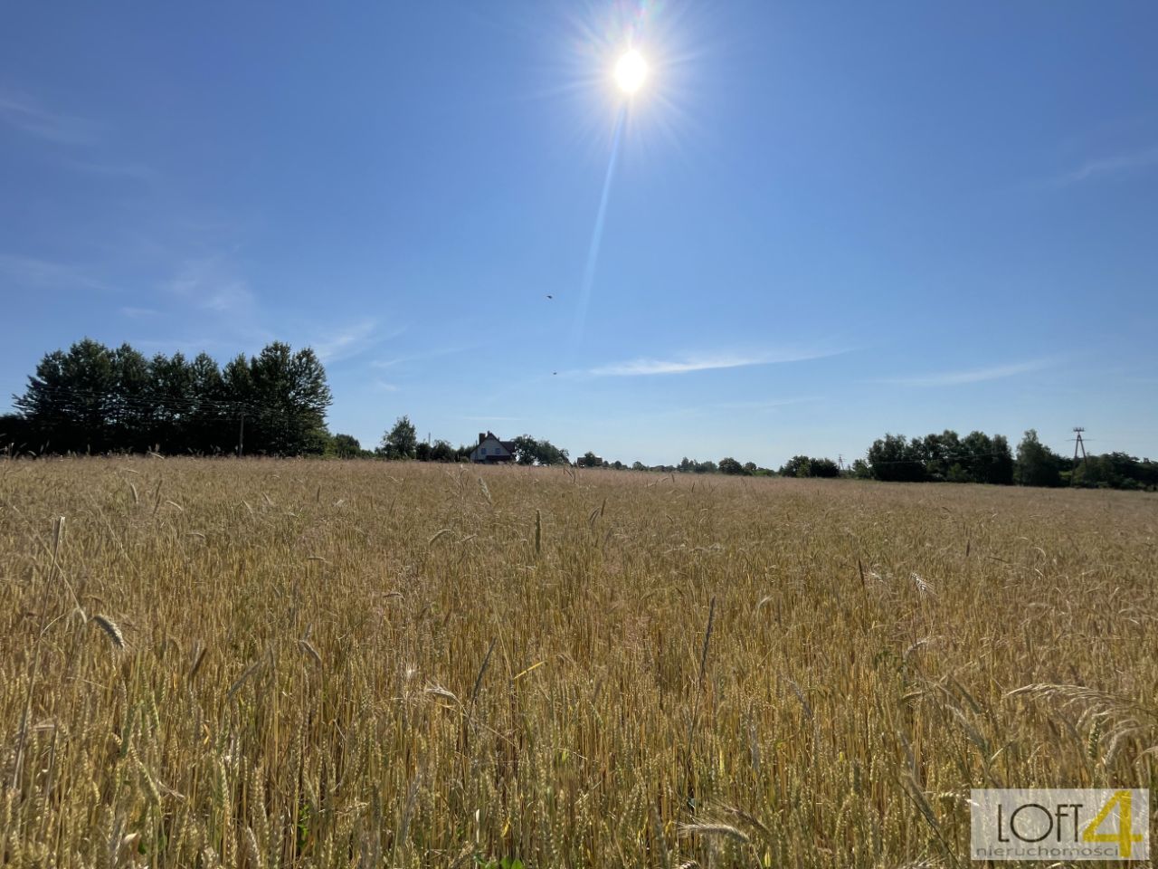 Działka rolno-budowlana Siemiechów. Zdjęcie 9