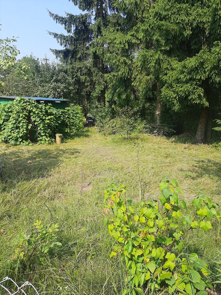 Działka rod Włocławek Południe , ul. Lisek. Zdjęcie 4