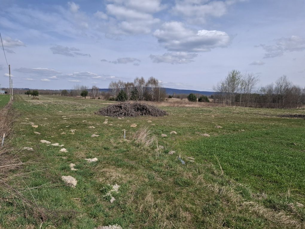 Działka budowlana Górno, ul. Łysogórska. Zdjęcie 5