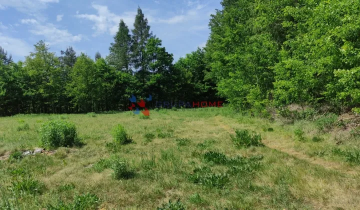 Działka budowlana Łoś