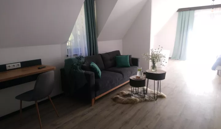 Hotel/pensjonat Dzianisz
