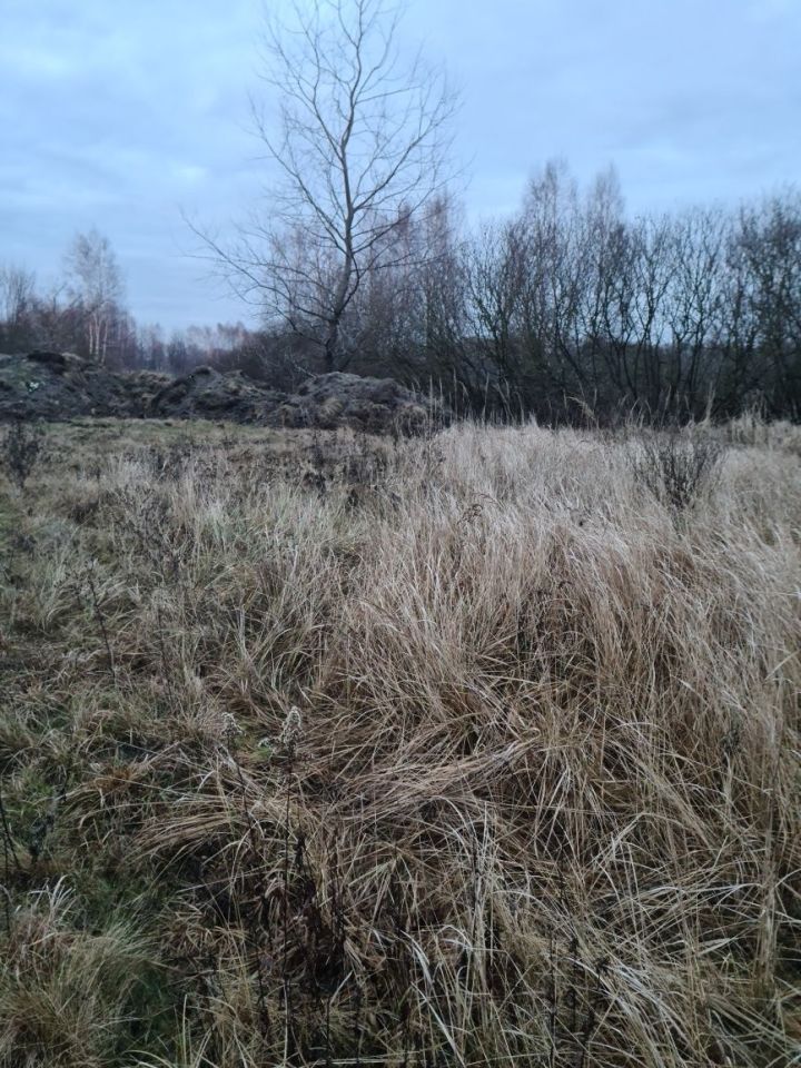 Działka siedliskowa Małocice. Zdjęcie 6