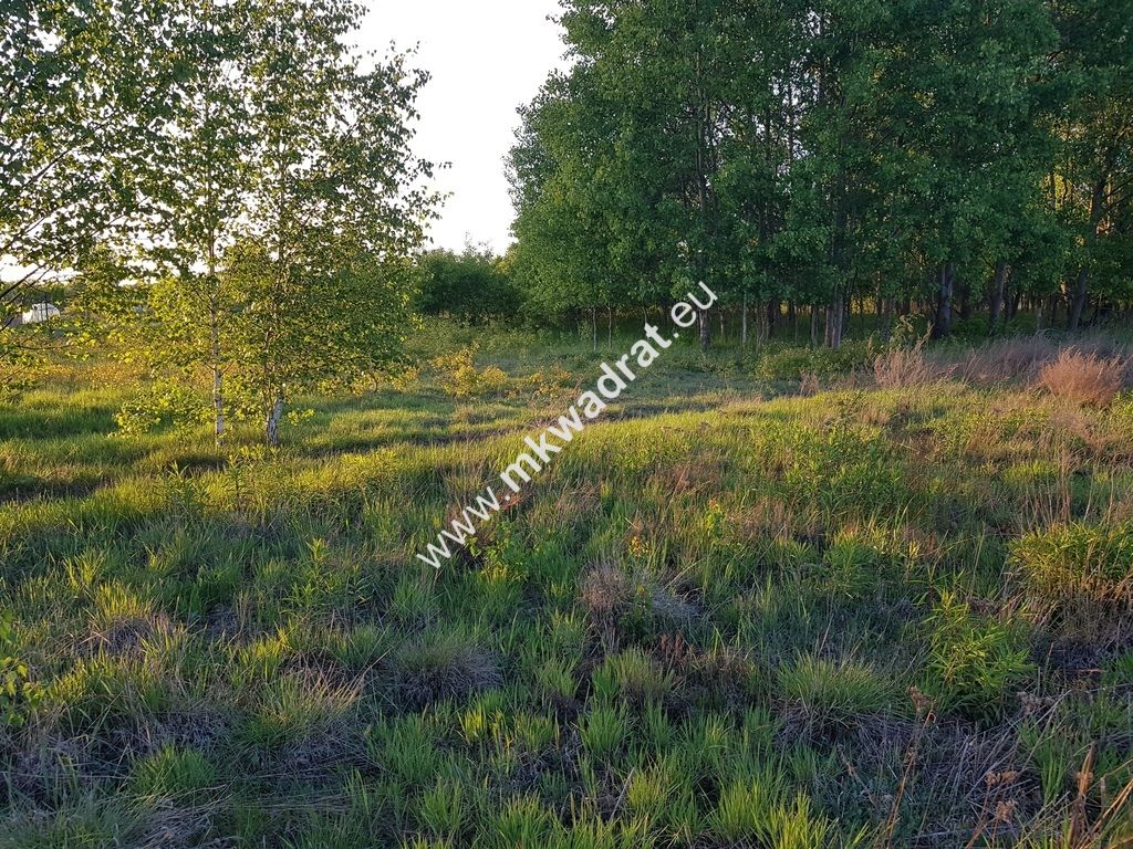 Działka budowlana Radziejowice, ul. Ossolińskich. Zdjęcie 4