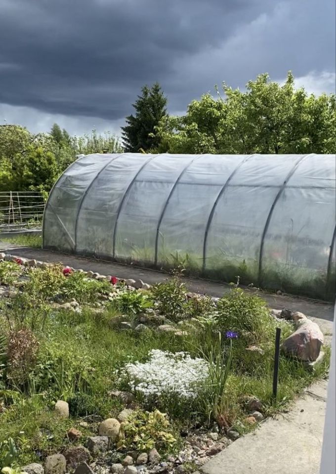 Działka rod Moczkowo. Zdjęcie 8