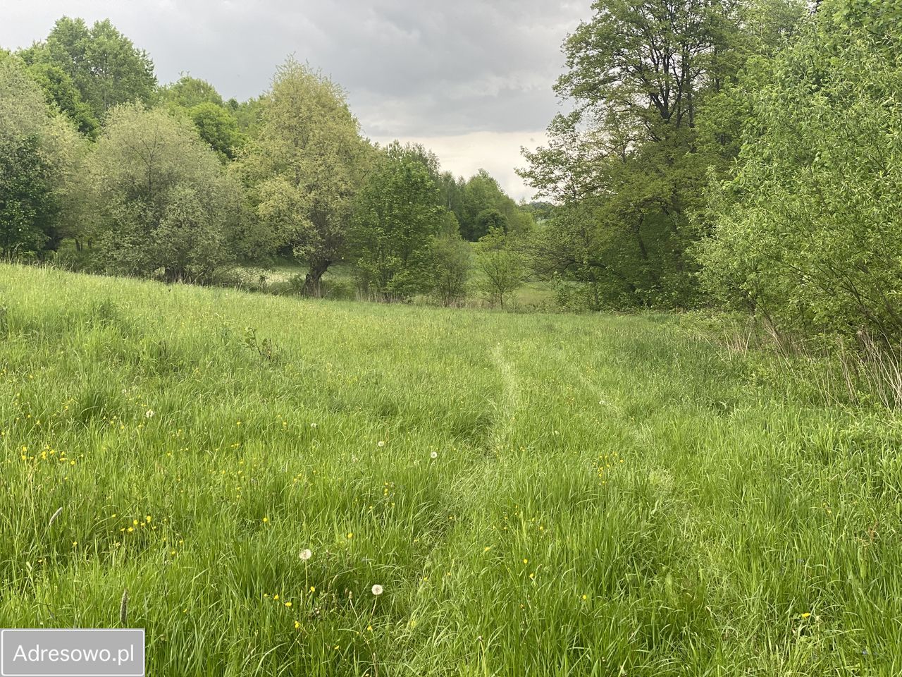 Działka rolno-budowlana Faściszowa. Zdjęcie 8