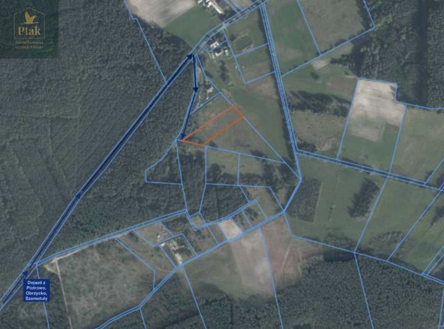 Działka rolna Obrzycko. Zdjęcie 5